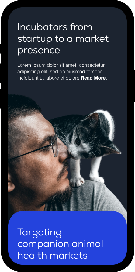 people playing basketball outside